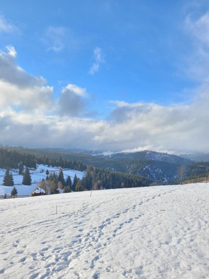 Casuta De Vacanta Marisel, Cluj Esterno foto
