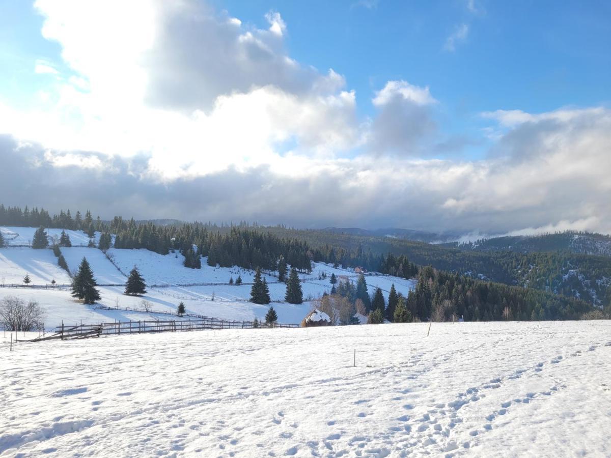 Casuta De Vacanta Marisel, Cluj Esterno foto