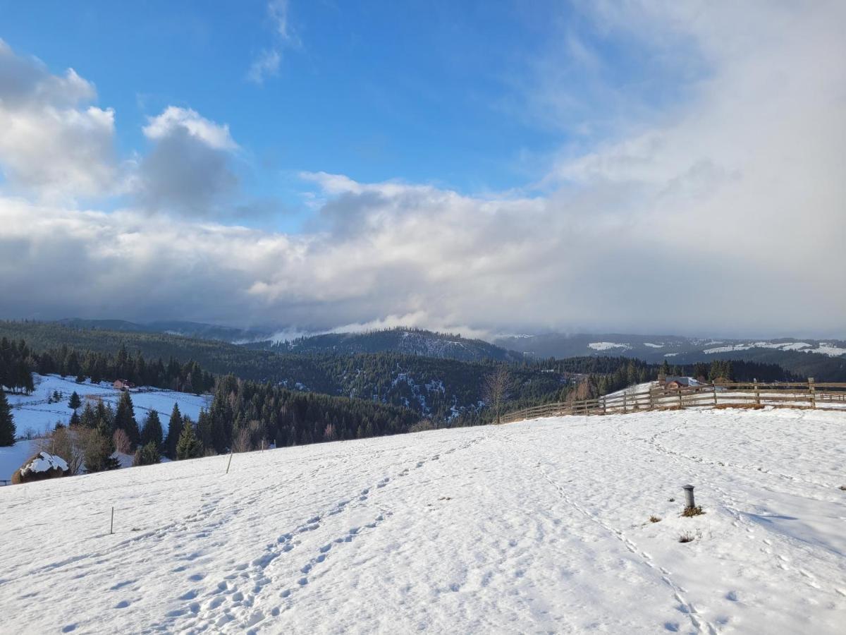 Casuta De Vacanta Marisel, Cluj Esterno foto